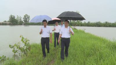 【越•广水】以“万全准备”应对“万一可能”！杨光胜冒雨督导防汛工作