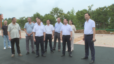 【越·广水】产业赋能 链上发力！杨光胜要求：把更多农户嵌入产业链、植入创新链、融入利益链