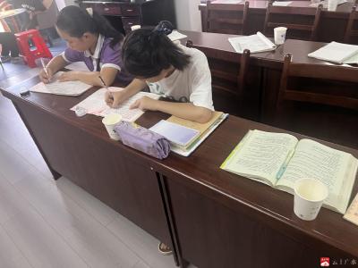 【悦·广水】蔡河镇：“暑假学堂”活动多 青年学子热情高