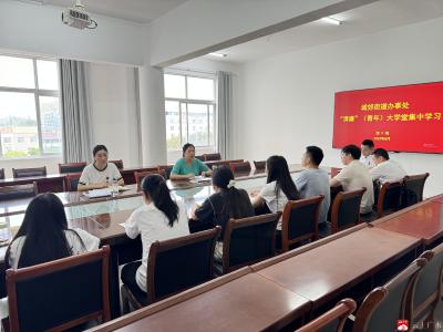 【阅·广水】城郊街道：深入学习全会精神，锤炼青年干部素养