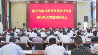 【越·广水】钱远坤强调：以完善机制制度为重点 深化乡村合作公司探索 大力发展农村新型集体经济 持续优化基层治理