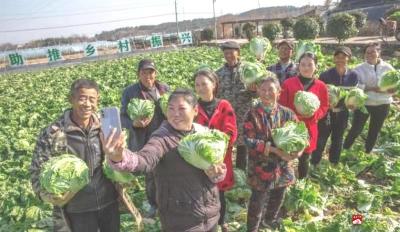 余店镇：助力“三白”产业到“三白”品牌的华丽蜕变