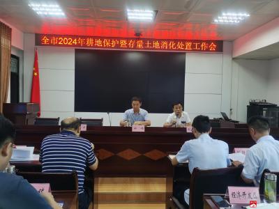 广水市组织召开耕地保护暨存量土地消化处置工作会
