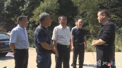 【越·广水】崔传金督导检查巡林和森林防火工作