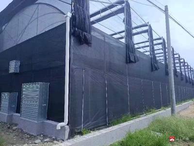 【越·广水】乡村振兴看吴店之十二：王子店里王子“惦”