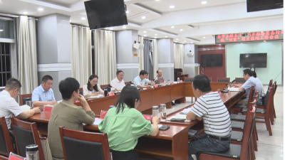【越·广水】崔传金：提供坚实项目支撑 推动经济“提速稳跑”