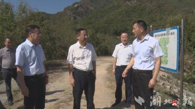 【越·广水】崔传金到武胜关镇开展巡河工作