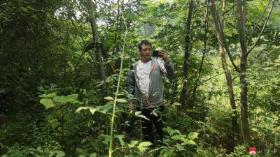 烈日下的自然资源和规划人