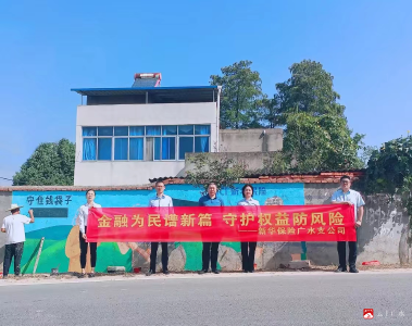 【悦·广水】新华保险：“我为村民刷面墙”金融教育宣传活动