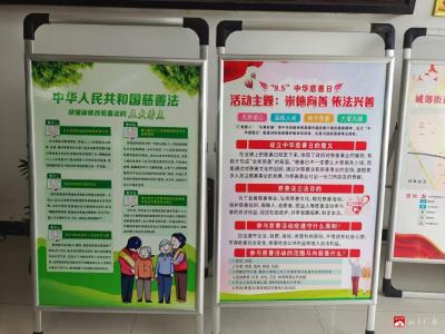 【悦·广水】城郊街道办事处开展“中华慈善日”宣传活动