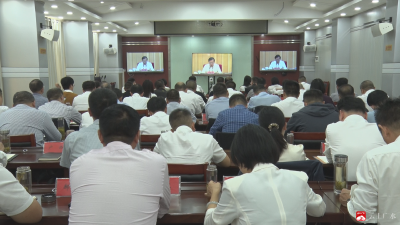 【越•广水】崔传金：打造一流营商环境  塑造广水高质量发展新优势