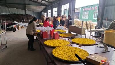【越·广水】一步一脚印 种出乡村振兴“幸福花”