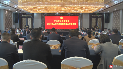 【越·广水】市人大常委会召开人大代表议案办理工作督办会