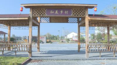 【悦·广水|人居环境 百日攻坚】打造宜居家园　提升生活品质