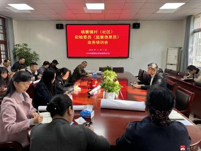 【越•广水】杨寨镇：打通基层监督“最后一公里”