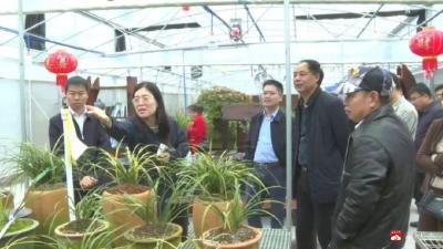 【越·广水】人民日报记者来广水探寻乡村振兴路径 解锁群众共富“密码”