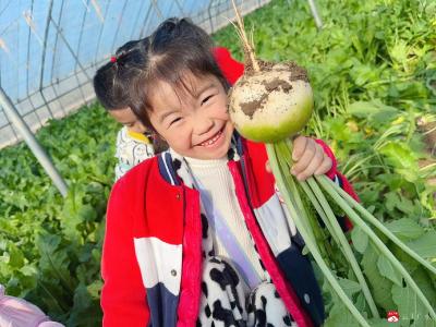 【阅·广水】市幼儿园开展“遇见萝卜，乐享丰收”劳动教育研学活动