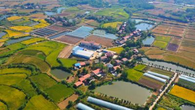 【越·广水】习近平总书记在湖北考察时的重要讲话激励我市广大干部群众抓改革促发展冲百强