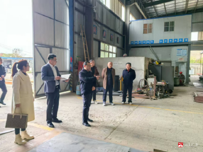 【越·广水】长岭镇：把脉问诊找问题   建言献策促发展