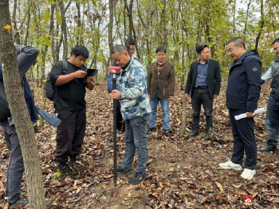 【越•广水】广水市2024年森林蓄积量调查监测项目通过省级中期质量检查验收   