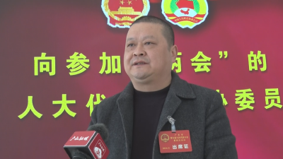 【聚焦两会】人大代表共话经济发展