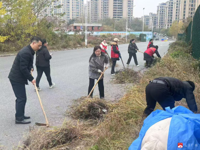 【悦•广水】应山街道办事处：“清洁家园”在行动  共绘和美新画卷