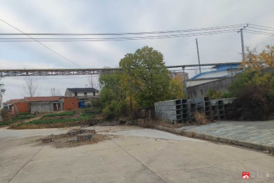 【越•广水】城郊街道：携手清洁家园  共筑守护之责 （第十期）