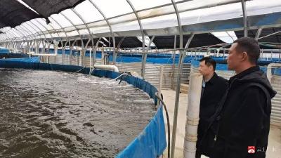 【越·广水】太平镇：全力优化营商环境 激发企业  发展活力