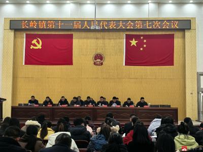 【越·广水】长岭镇第十一届人民代表大会第七次会议胜利召开
