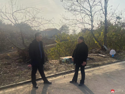 【越·广水】余店镇：清洁家园“净”行时（第二期）