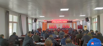 【约·广水】优化营商环境：太平镇召开优化营商环境  工作推进会