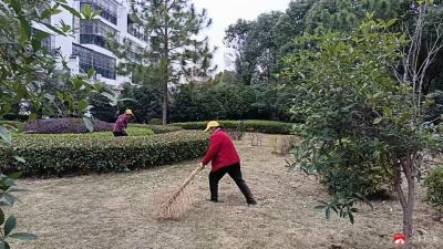 【越·广水】以家园之美  助力营商环境发展
