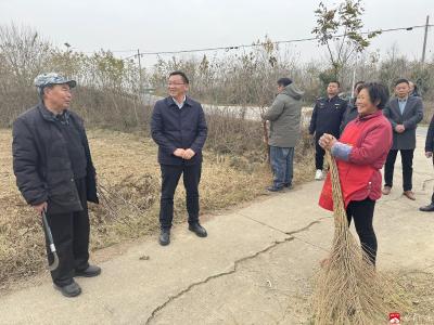 【越·广水】凝心聚力  共绘人居环境新风貌 ——城郊街道“清洁家园”全面开展