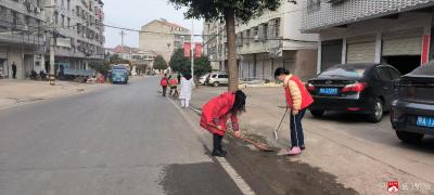 【越·广水】李店镇“清洁家园”行动