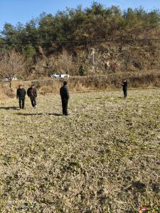 【越·广水】秋播一粒“籽”技术优指导　夏收万斤“油”