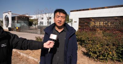 【越·广水｜以实干实绩实效作答“十问”】春风入百企：强服务 解难题 促科创 拓市场（三）