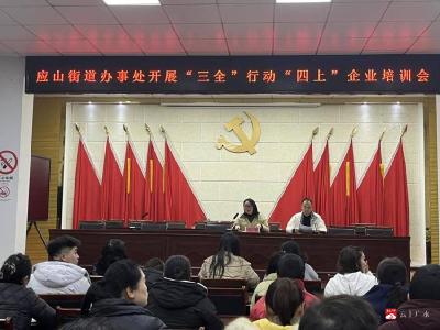 【越·广水】应山街道召开“三全”行动“ 四上”企业培训会