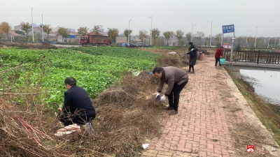 【悦·广水】黑虎冲社区：清洁家园迎新春 志愿服务暖人心
