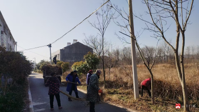 城郊街道：携手共建，坚决打赢“清洁家园”人居环境整治攻坚战（第十二期）