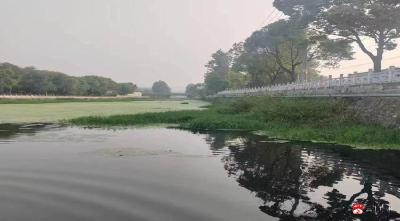 【越·广水】广水市：全力整治长胜河，打造绿色生态河道