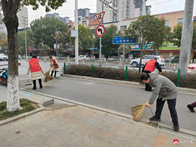 城郊街道：清洁家园齐行动，志愿联动绘新景 （第十一期）