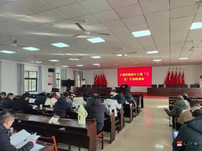 【越·广水】十里街道开展统计人员“三全”行动培训会