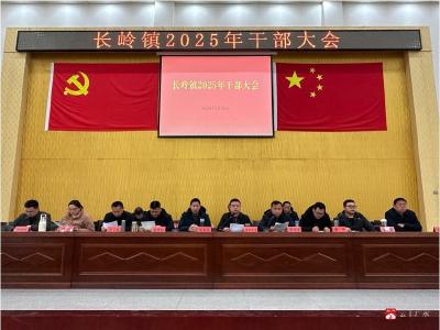 【越·广水】凝心聚力  砥砺奋进  长岭镇“新春第一会”扬帆再起航