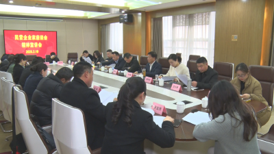 【越•广水】民营企业家热议民营企业座谈会：敢拼敢干 实绩实效助推经济社会高质量发展