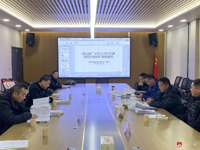 【越·广水】广水市大冲矿区建筑用片麻岩矿勘探报告 评审会顺利召开
