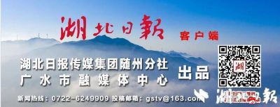 【越·广水】广水市自然资源和规划局：“零距离” 破局，为经济发展注入 “强心剂”