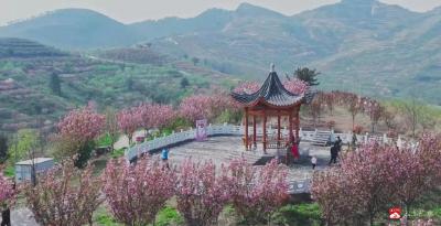 deepseek与广水春天相遇，解锁最美季节之旅→