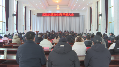 【越·广水】武胜关镇：聚焦发展谋新篇 砥砺奋进启新程