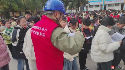 【阅·广水】李店镇中心小学组织开展用电知识宣传  