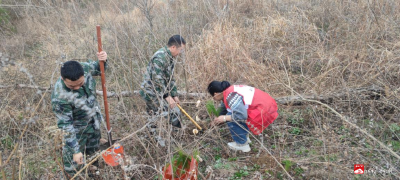 【越·广水】播撒新绿，共绘美好——广水街道植树记